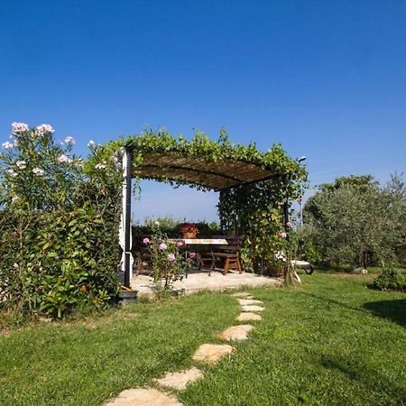 Rade Stancijeta Apartments Novigrad Istria 외부 사진