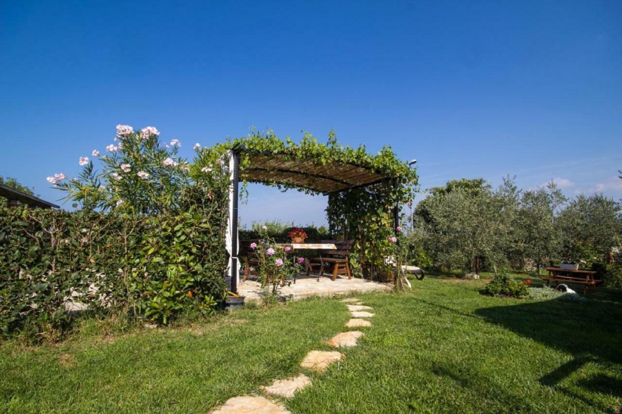 Rade Stancijeta Apartments Novigrad Istria 외부 사진