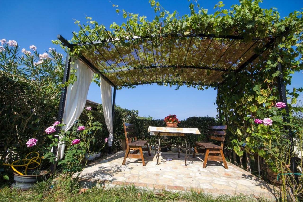 Rade Stancijeta Apartments Novigrad Istria 외부 사진