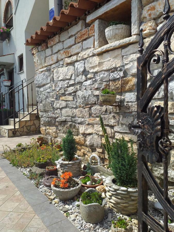 Rade Stancijeta Apartments Novigrad Istria 외부 사진